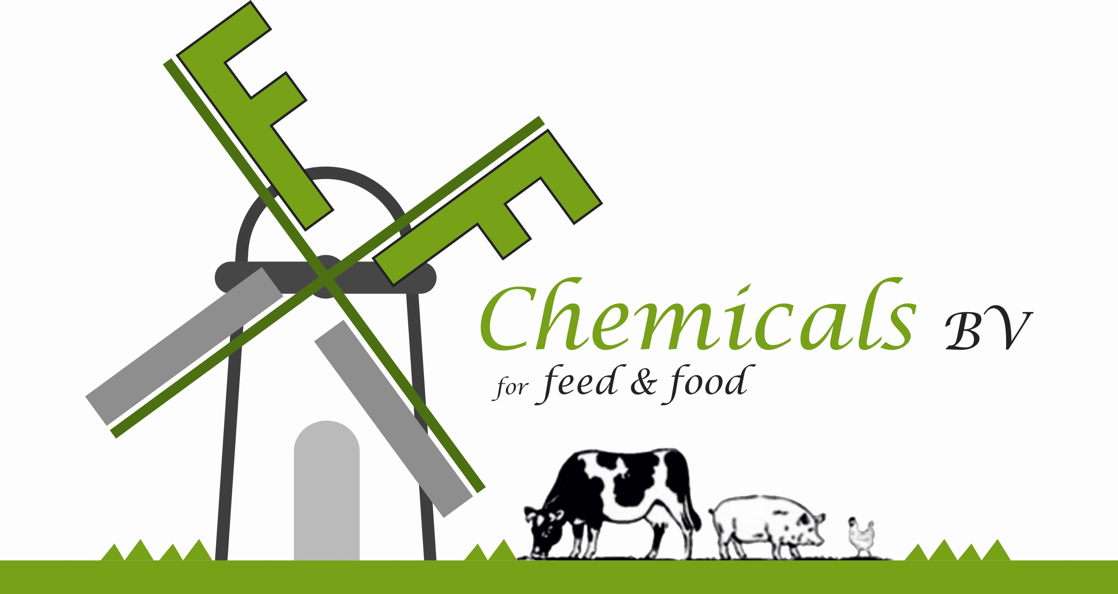 Logo FF Chemicals 2 format site web