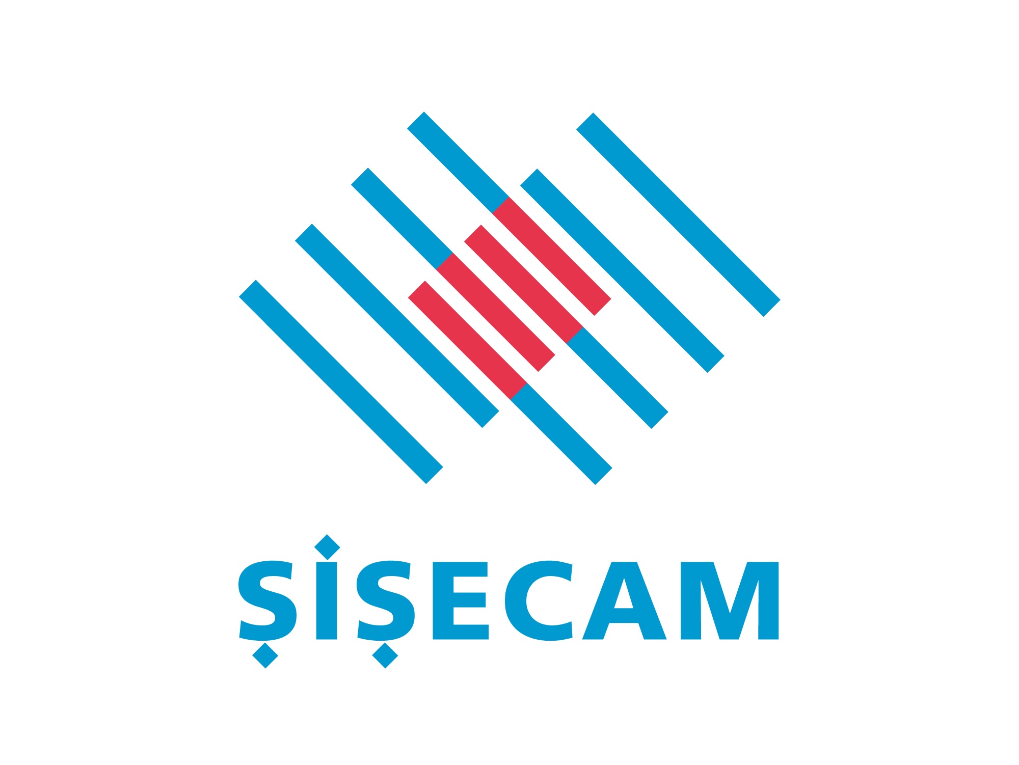 Sisecam Logo